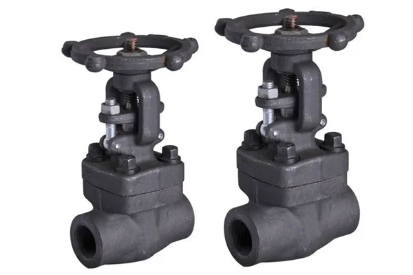 Gate Valves Manufacturer