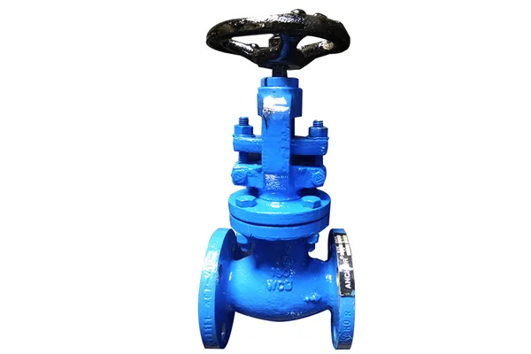 Globe Valves Manufacturer